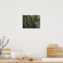 Buscar follaje tropical posters Monstera