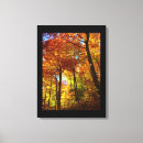 Buscar autumn lienzos Fotografía