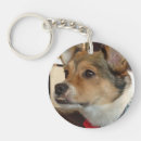 Buscar llamada accesorios Pato