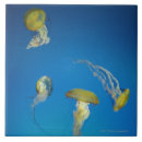 Buscar medusas azulejos Animal