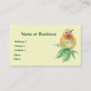 Buscar colibri tarjetas de visita General y unisex