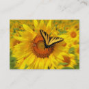Buscar alas tarjetas de visita Abeja