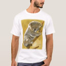 Buscar koala ropa Animales