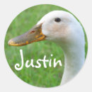 Buscar justin postales Adorable