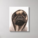 Buscar sudadera arte Animal