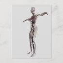 Buscar vena cava Transparente