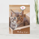 Buscar caja de cartón tarjetas General y unisex