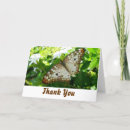 Buscar jazmín tarjetas Jasmine