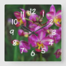 Buscar orquídeas púrpuras relojes de pared Elegante