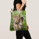 Buscar neko bolsos Divertido