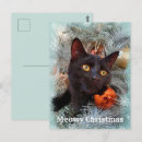 Buscar gatos negros postales Vacaciones