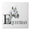 Buscar ecuestres azulejos Caballo