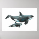 Buscar biología marina posters Ballena