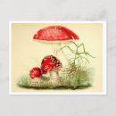 Buscar aleta postales Ilustracion