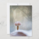 Buscar winter fotograficas tarjetas Invierno
