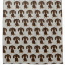 Buscar dachshunds Perro
