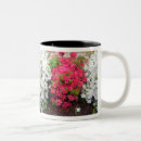 Buscar azalea tazas Blanco