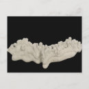 Buscar ciencias naturales postales Geología