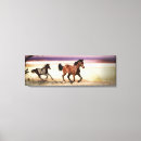 Buscar caballo de raza decoracion Salvaje