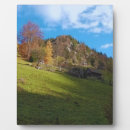 Buscar hierba placas fotograbadas Naturaleza