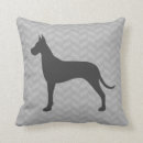 Buscar daneses cojines Gran dane