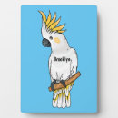 Buscar pájaro placas fotograbadas General y unisex