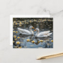 Buscar desgaste postales Para todos