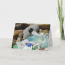 Buscar vidrio de la playa tarjetas Seaglass