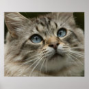 Buscar boca humana posters Horizontal