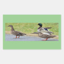 Buscar patas manualidades Para todos