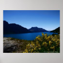 Buscar new zealand arte South island