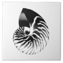 Buscar nautilus azulejos Cáscara
