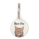 Buscar shorthair mascotas Para mascotas