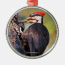 Buscar carpintero adornos Árbol