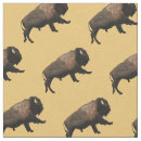 Buscar bisonte manualidades Pradera