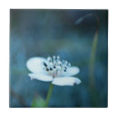 Buscar recuerdo azulejos Para ella