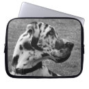 Buscar great dane electronica Blanco y negro