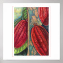Buscar chocolate del amor posters Cacao