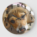 Buscar beagle relojes de pared Cachorro