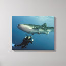 Buscar ballenas lienzos Naturaleza