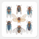 Buscar insecto pegatinas General y unisex