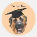Buscar mastiff pegatinas Divertido