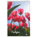 Buscar tulipanes calendarios Flor