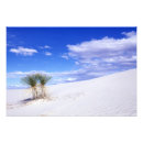 Buscar yuca posters Azul