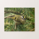 Buscar cantantes puzzles Pájaro