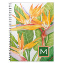 Buscar naranjas libretas Verde