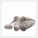 Buscar croc postales Naturaleza