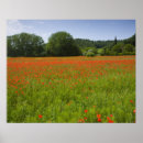 Buscar agrícola posters Al aire libre