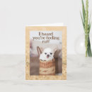 Buscar perro enfermo tarjetas Animar