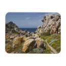 Buscar capo tarjetas Europa occidental